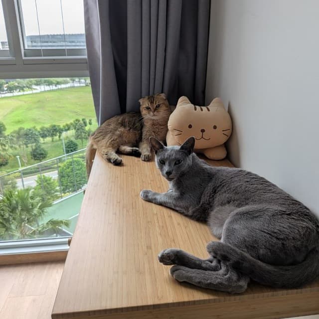 Butters (Left) & Blue (Right)